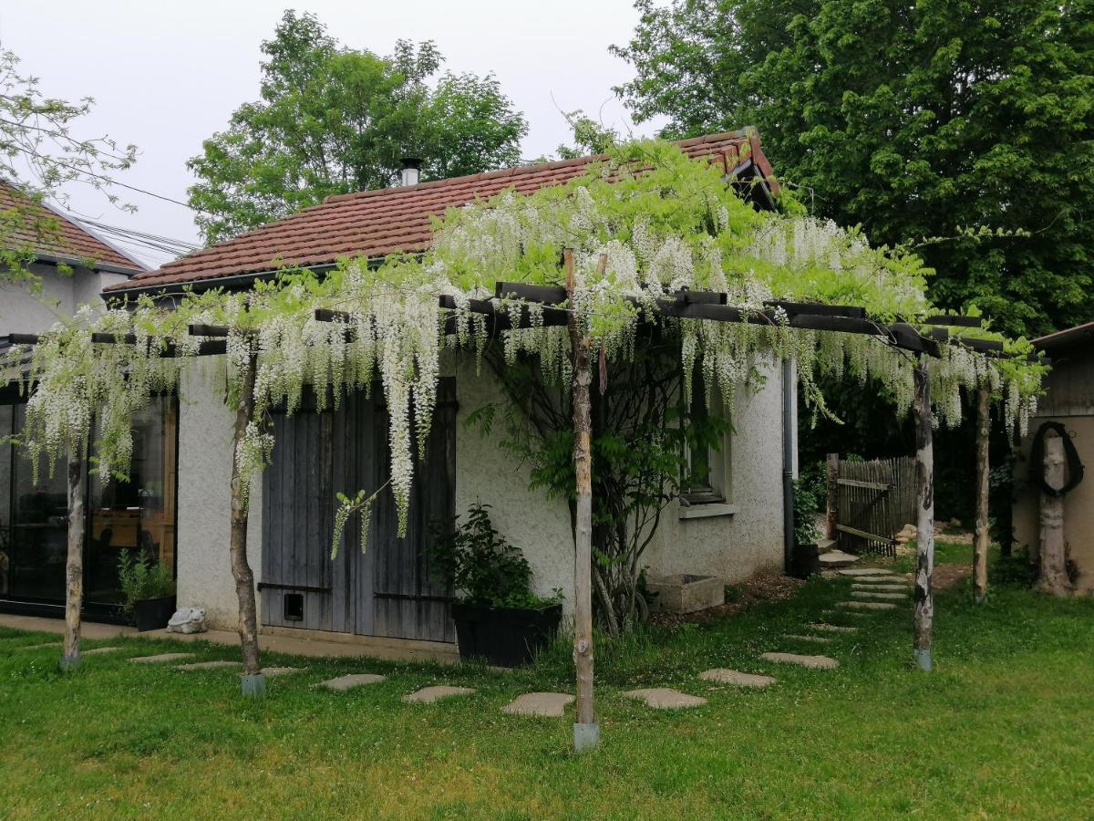 Flachères Balad'Ane Bed & Breakfast エクステリア 写真